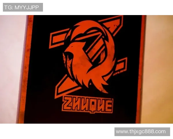 FPX战队的蜕变之旅:从荣耀巅峰到全新征程的纪实记录