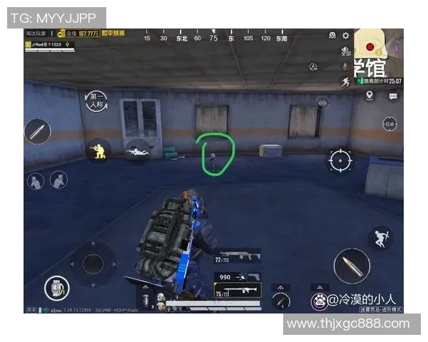 从零起步：全面解析和平精英游戏技巧与策略攻略